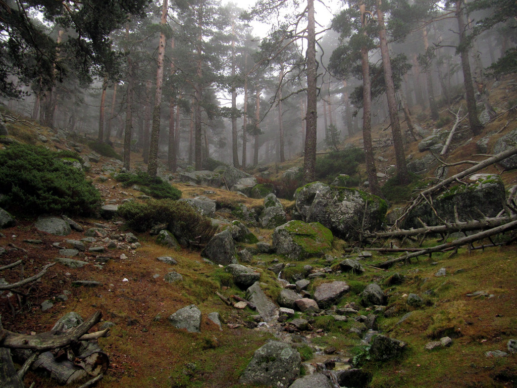 The terrain of the Cercedilla hike